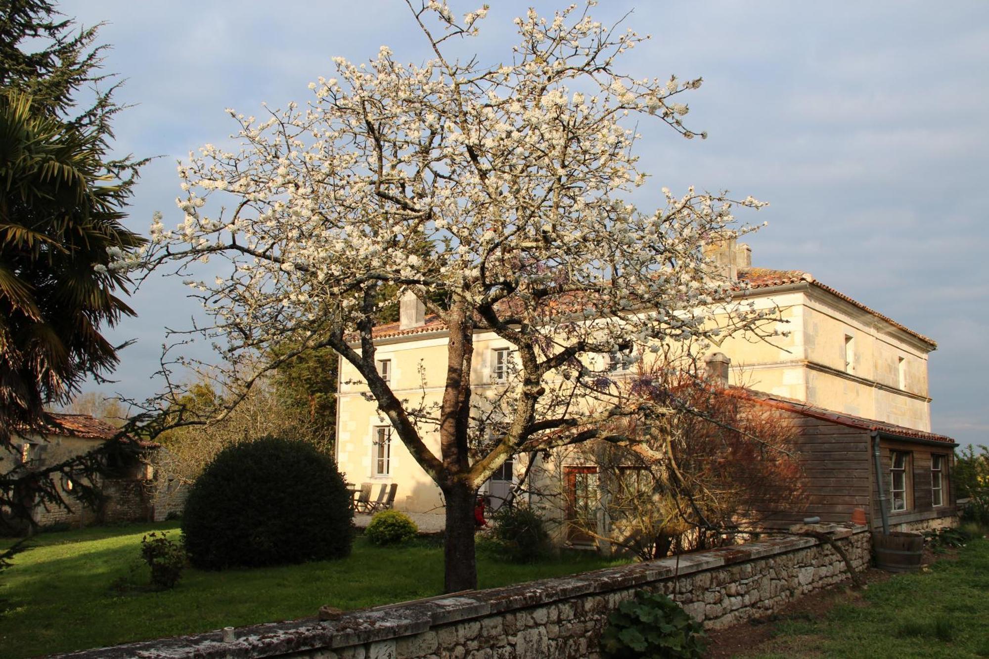 Domaine Terroceane Hotel La-Gripperie-Saint-Symphorien Exterior photo