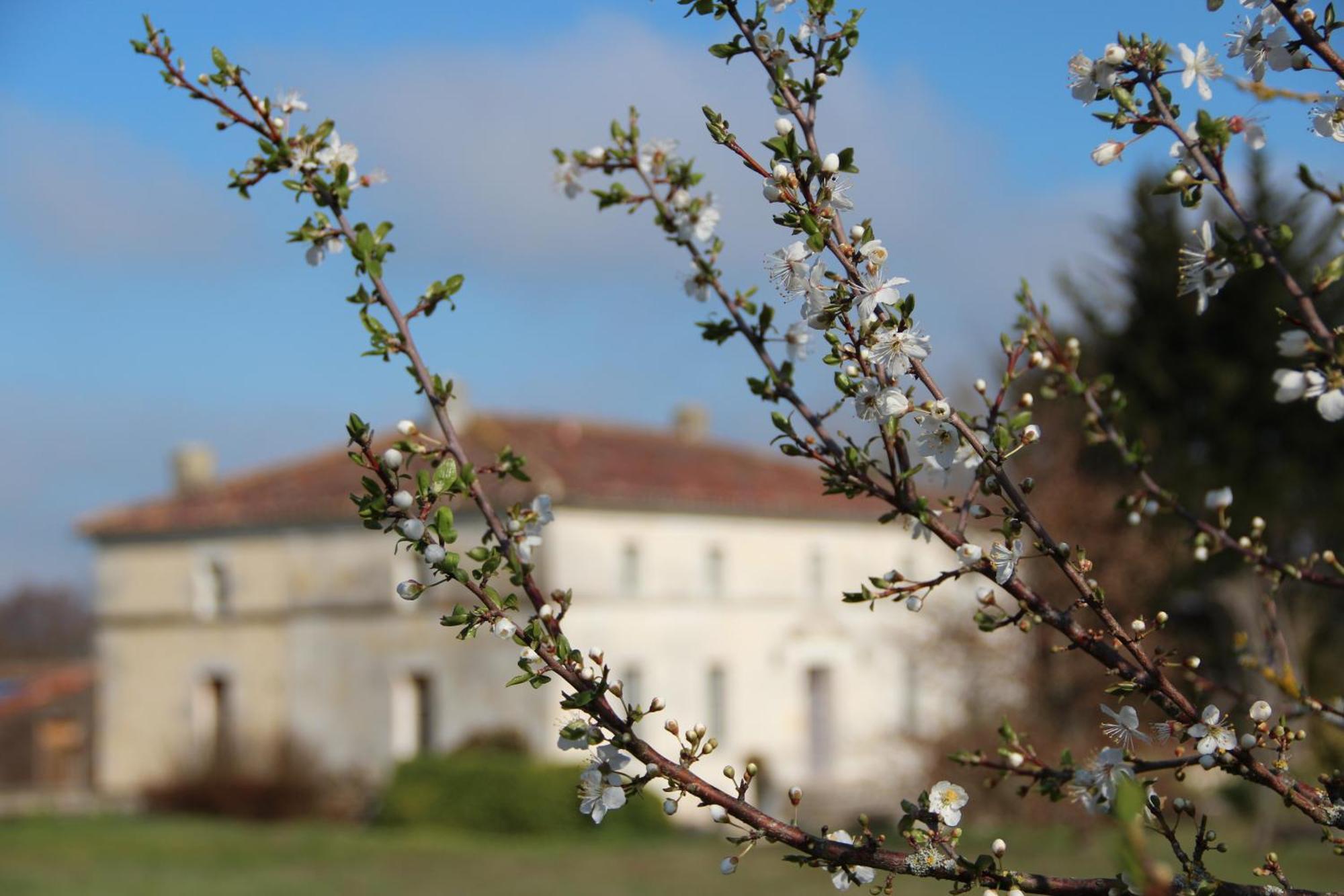 Domaine Terroceane Hotel La-Gripperie-Saint-Symphorien Exterior photo